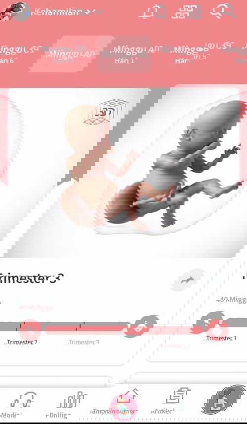 Menunggu adek bayi lahir