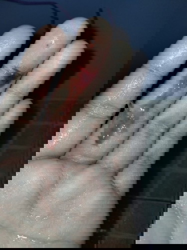 3วีคกว่ามีเลือด