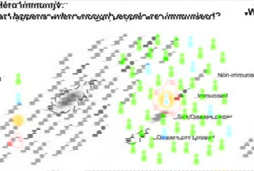 Herd Immunity/ Community Immunity