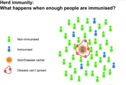Herd Immunity/ Community Immunity