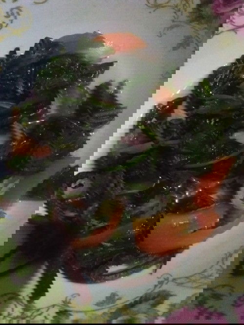 Sa first trimester po ba.pwede kumain ng gulay na alogbate.)need po ng answer