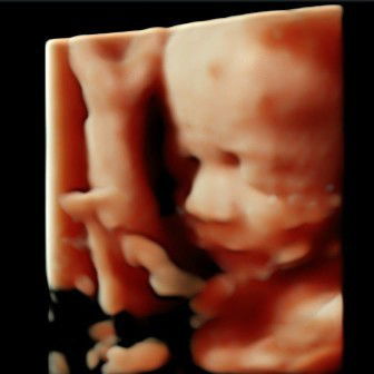 Yang HPL akhir april yukk kumpul disini...