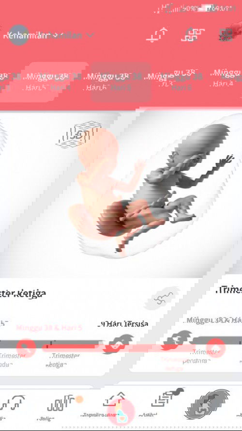 Menunggu gelombang cinta