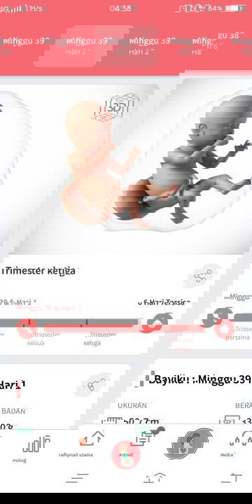 menunggu gelombang cinta