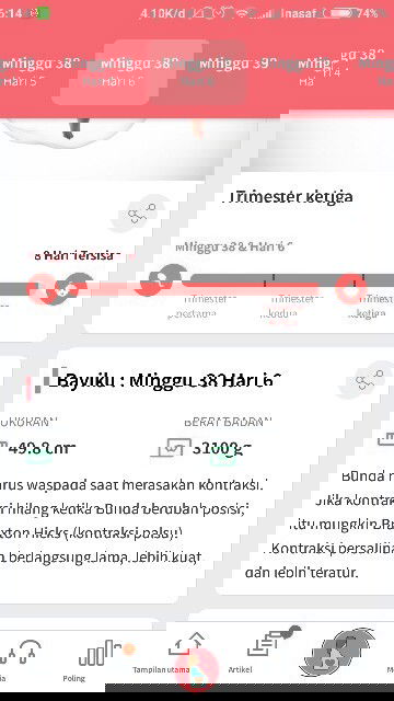 Doakan segera launcing ya bunda , hpl 12 februari, tapi uk udah 38w6d.