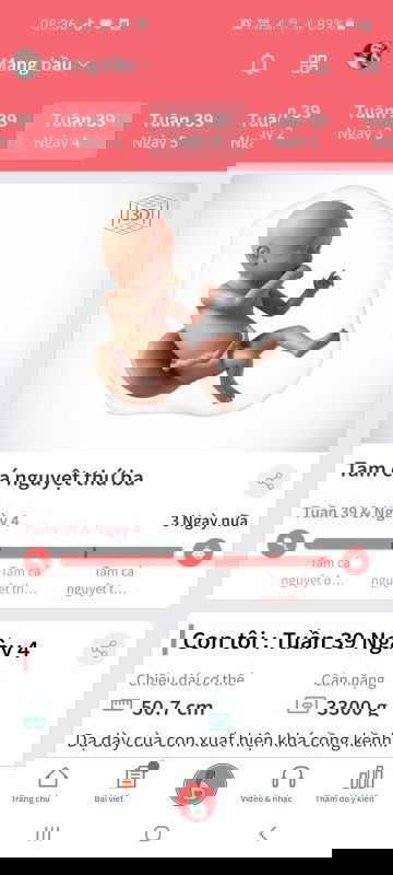 Chờ 1 cơn đau đẻ