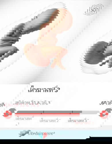 อีก60วันมีใครยังทำงาน