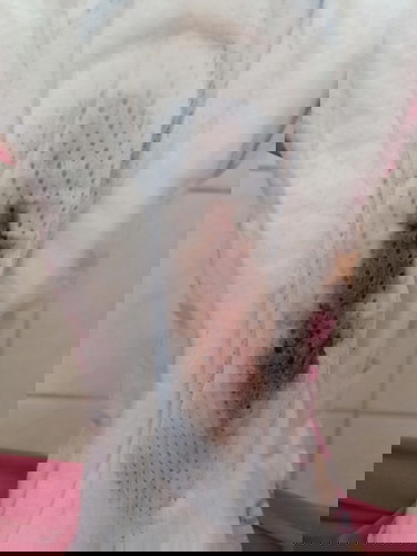 Bercak kehamilan atau darah haid??