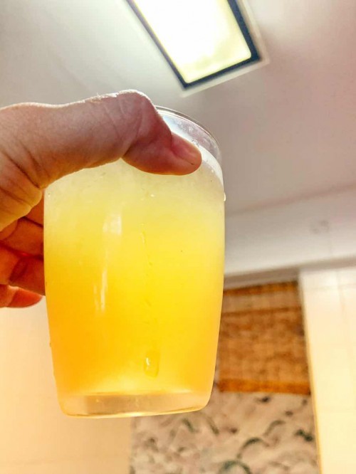 Kombucha time