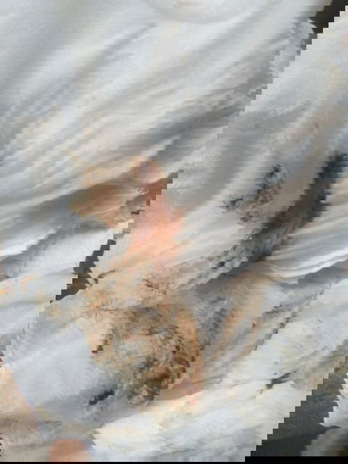 kehamilan pertama ku