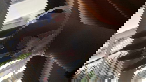 Mode pemulihan untuk kedua kalinya