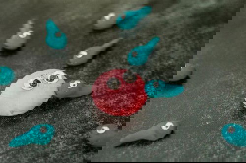 Siêu âm thai 16 tuần 3 ngày giới tính chính xác chưa các mom.