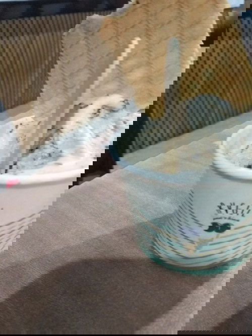 rambut rontok waktu menyusui