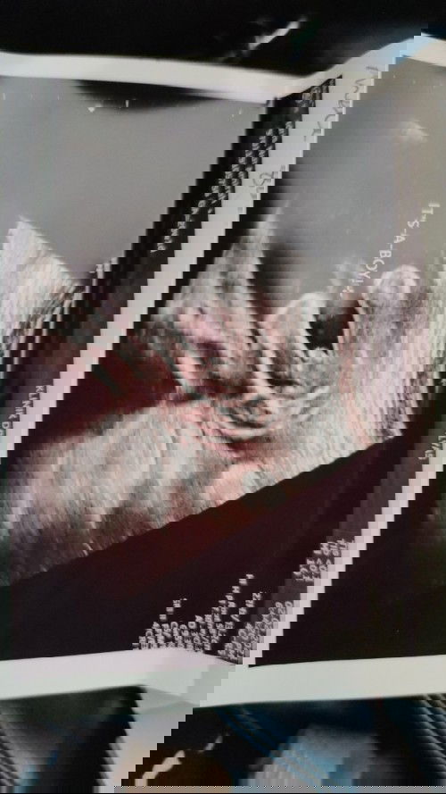 Boys atau girls ? Help