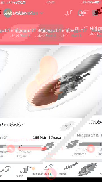 Belum ngerasain gerakan bayi