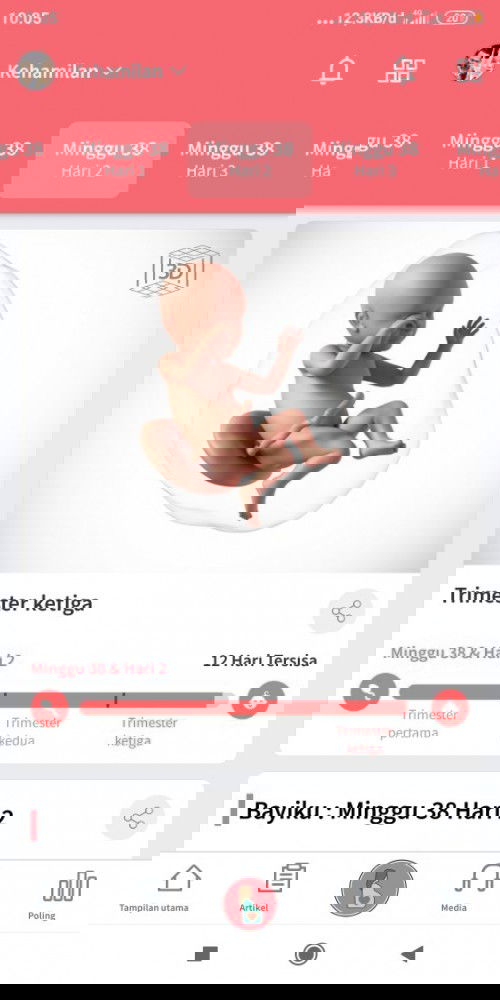 DOAIN SEMOGA SEGERA LAHIR