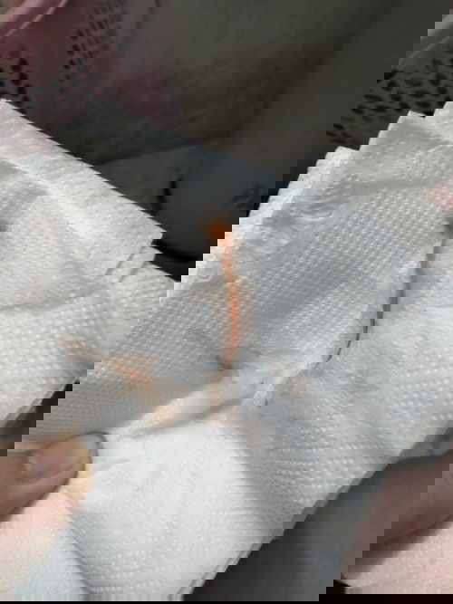 Cho e hỏi E 39t6 ngày