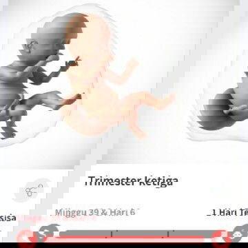 Tolong Keikhlasan Do'a nya Bunda dan semoga do'a nya berbalik ke Bunda juga, Amiin...