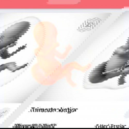 Menunggu gelombang cinta