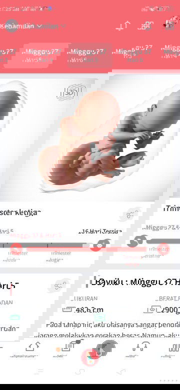 Semoga disegerakan😍