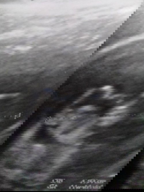 ทีม สิงหาคม