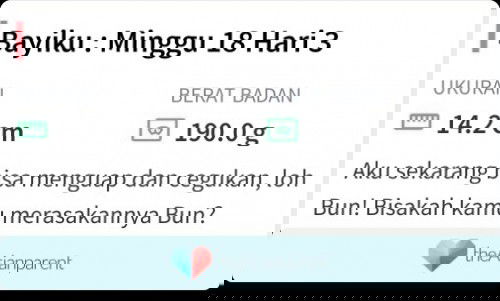 Kehamilan anak pertama