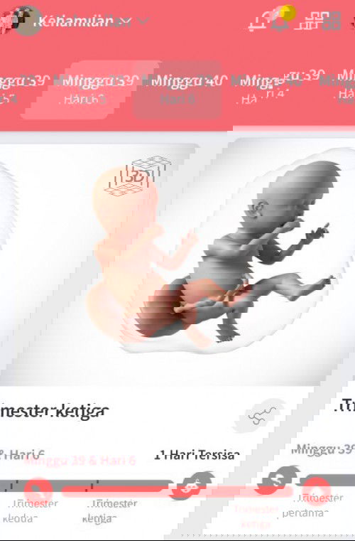 Mohon doa segera lahir