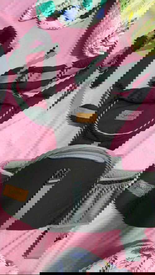 WTS hipseat dialogue