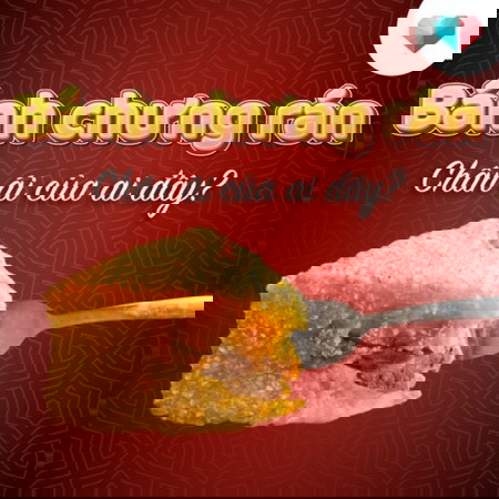 Bánh chưng rán