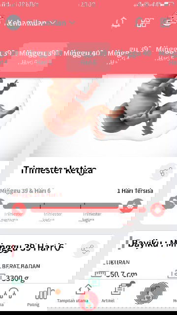 Gerak janin 40 minggu