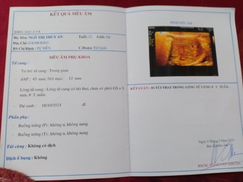 Dạ thai e đc 3 tuần rồi các mom ạ bao lâu thì e có thể siêu âm lại và uống sắt ạ?