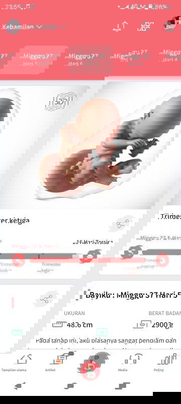 Hamil trimester ke 3