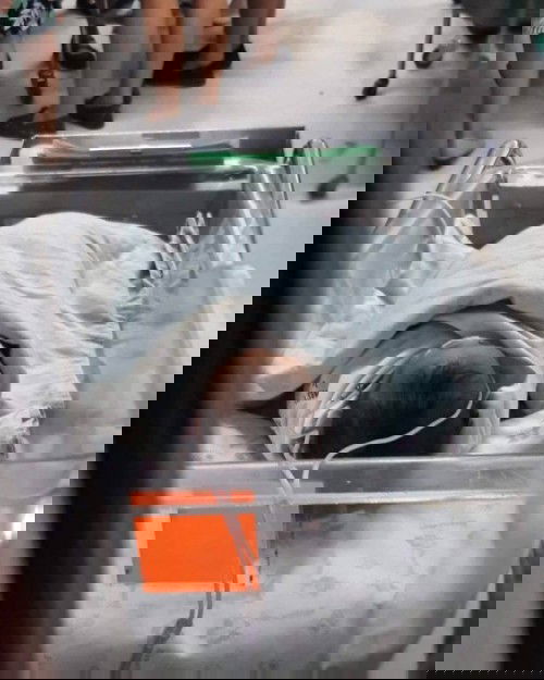 เด็กน้อย 35w1D คับผม