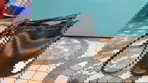 Brandnew and preloved bags