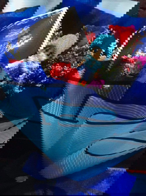 Hello Team March 2021. Baby boy or baby girl? 💙