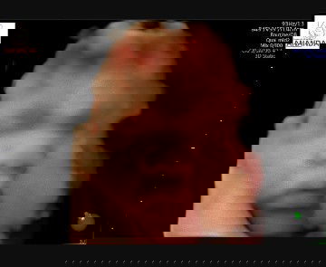 Tembem atau ngga ya?