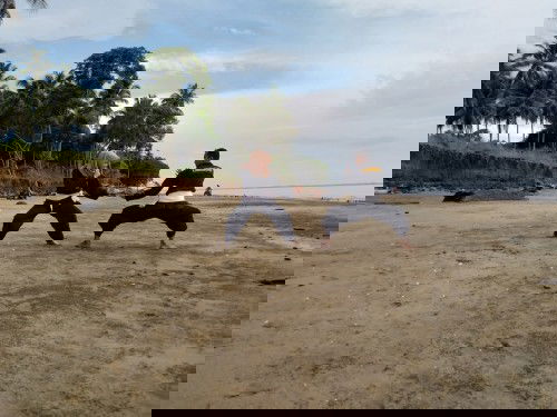 Usaha & Pembuktianmu yang Membuatku Jatuh Cinta 💕