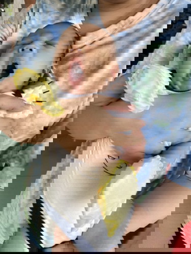 1m8d bé đc 5kg có OK k các mom