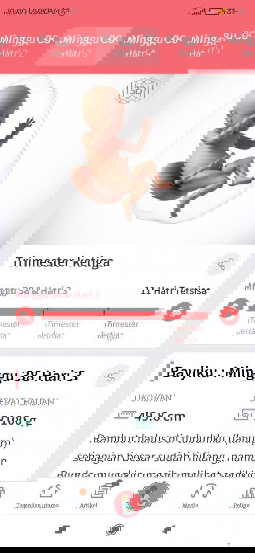 Menunggu gelombang cinta