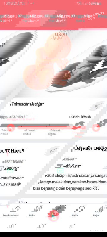 Assalamualaikum 
Bunda2 minta doanya yaaa 
HPL 25 februari semoga sebelum HPL aku udah lahiran