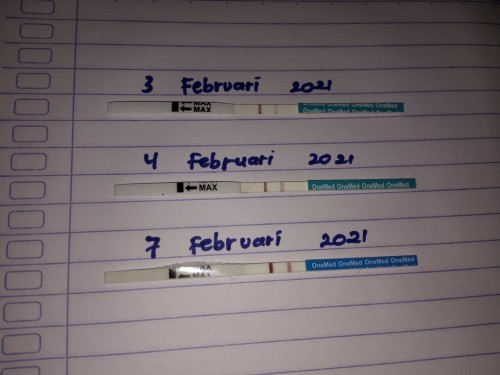 Kehamilan pertama