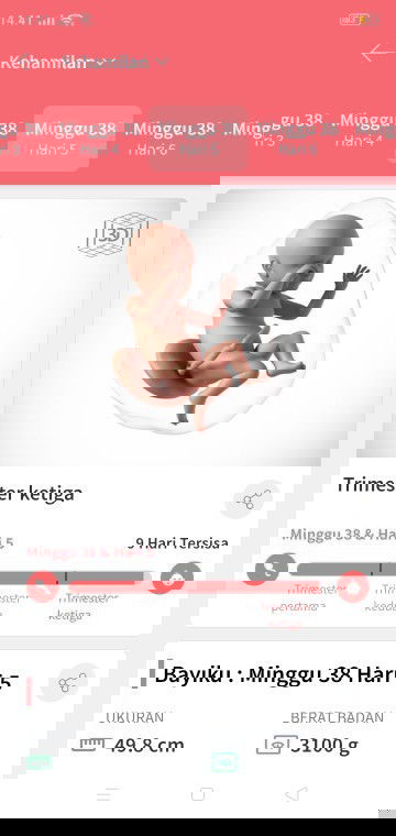 Mohon doanya bunda semua semoga dedeknya cepat lahir..Gansar..selamat mamak dan baby nya..
Makasih