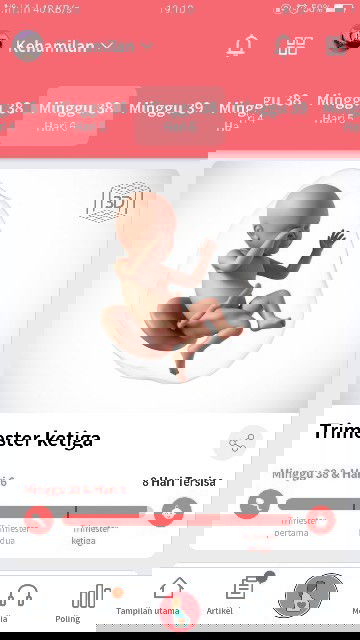 Menunggu Gelombang Cinta