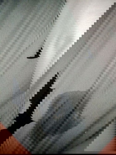 มีน้ำไหลออกมา ทั้งๆที่ไม่ได้เจ็บฉี่ 39วีค
น้ำเดินรึป่าวคะ