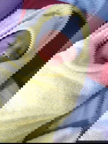 แม่คลอดแล้ว