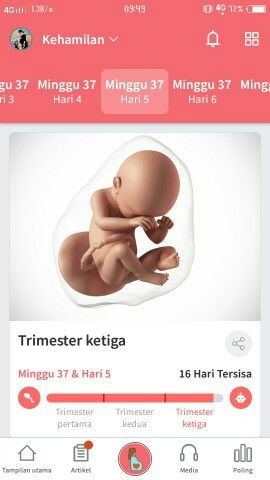 Menanti gelombang cinta