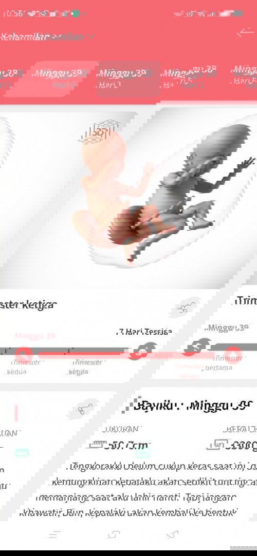 Bismillahirrahmanirrahim