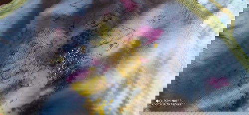 Fases baby normal tidak