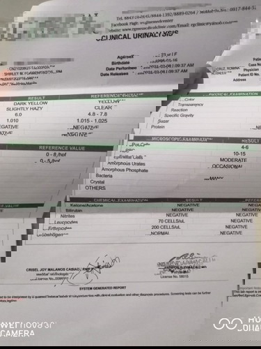 URINALYSIS RESULT