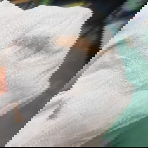 น้ำคร่ำหรือมูกเลือดคะ 38+4 wks